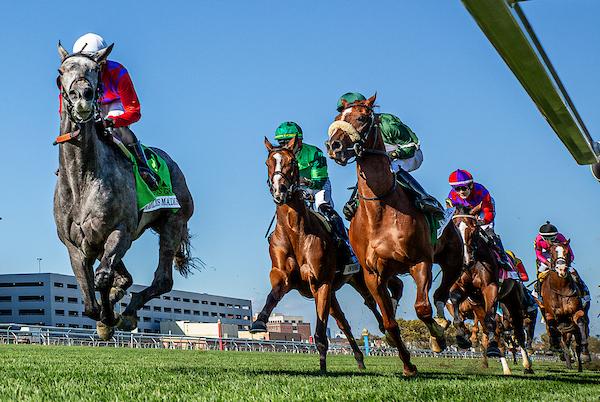 Belmont at the Big A, America's Best Racing, horse racing, ABR